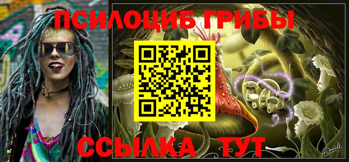 Галлюциногенные грибы Psilocybe Хасавюрт