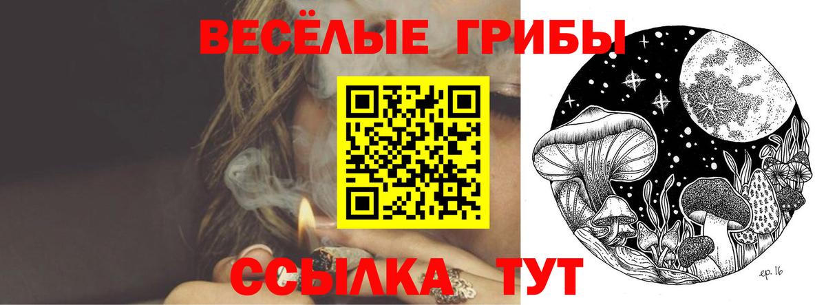 Хасавюрт  Псилоцибиновые грибы Magic Shrooms  Вход с VPN 